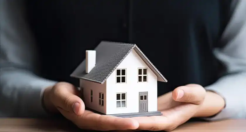 Home model in hands